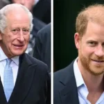 prince harry king charles relationship status