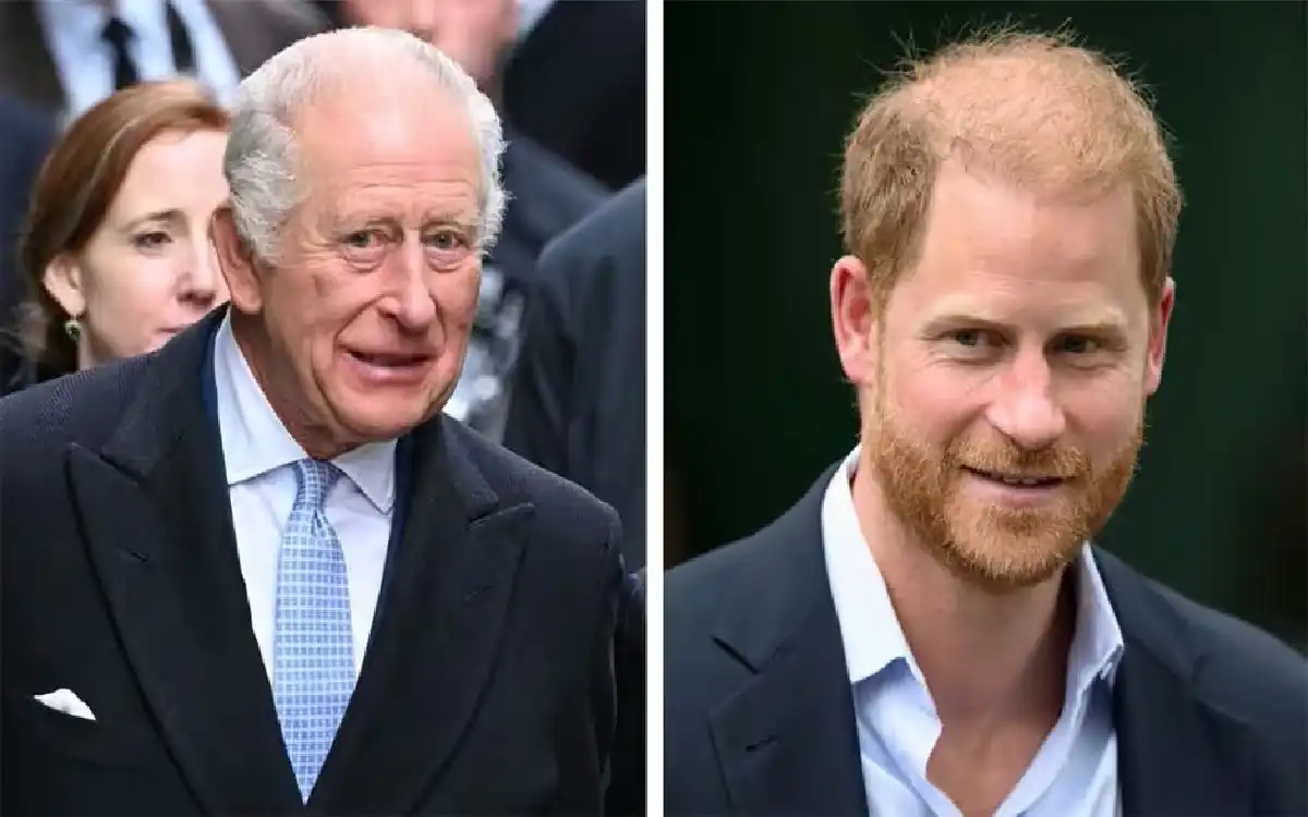 prince harry king charles relationship status